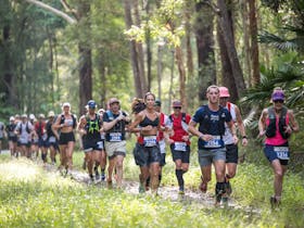 Noosa Ultra-Trail