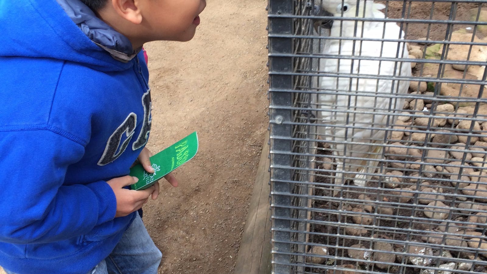 Featherdale Wildlife Park