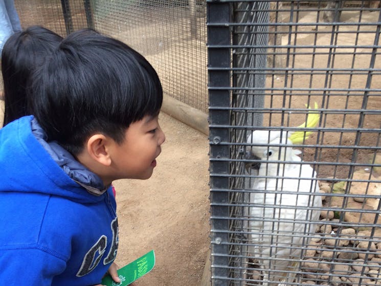 Featherdale Wildlife Park