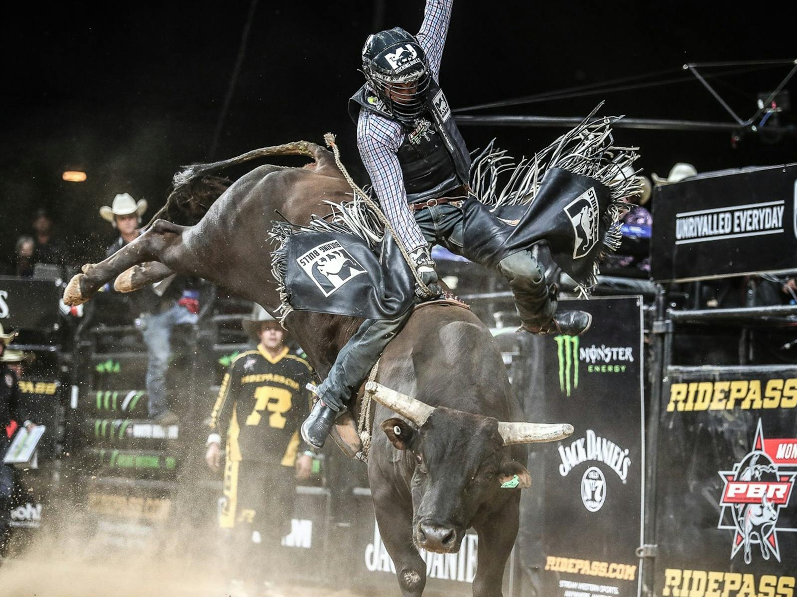 Image for PBR Hawkesbury Stampede