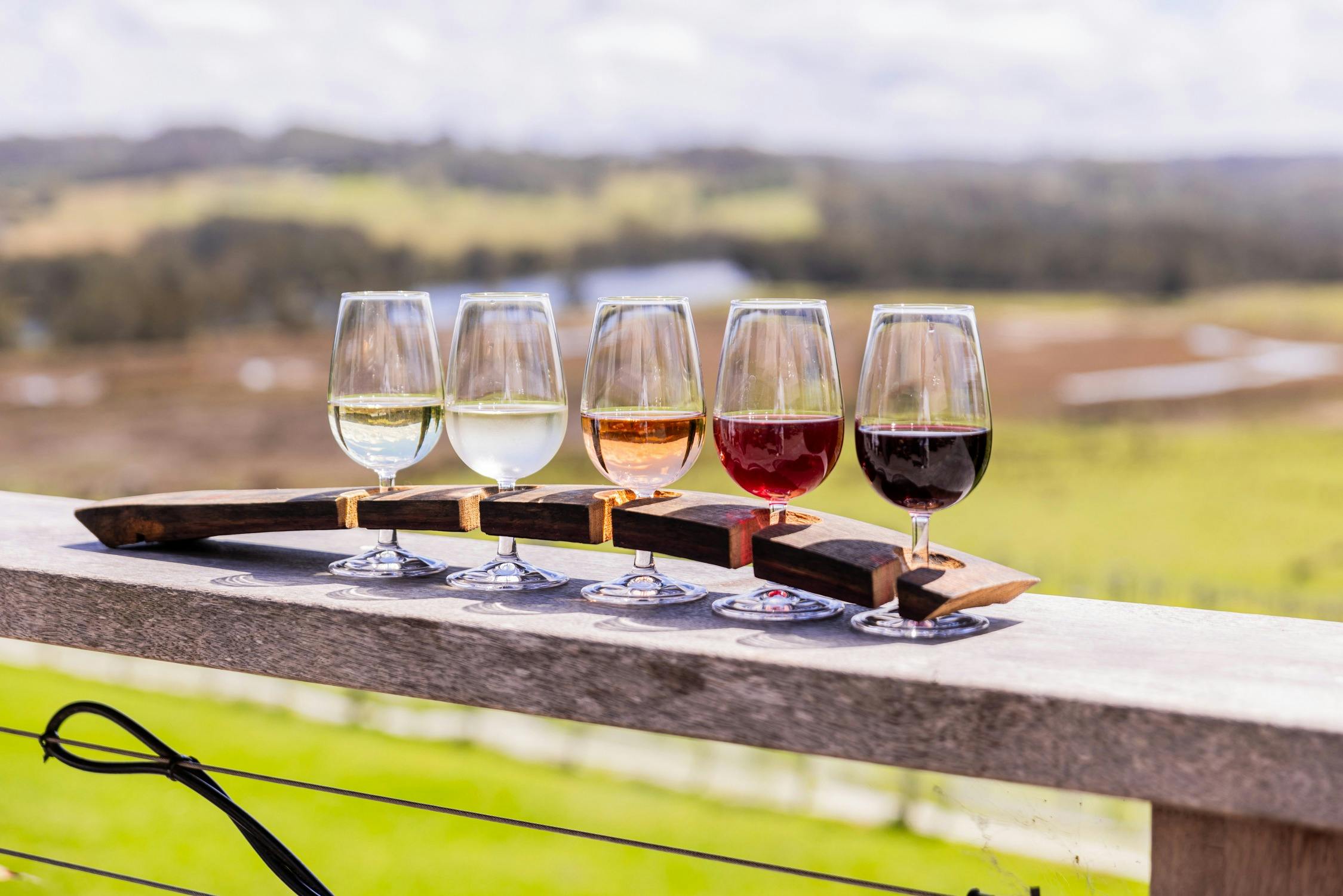 Enjoy the view while tasting Cupitt's selection of wines