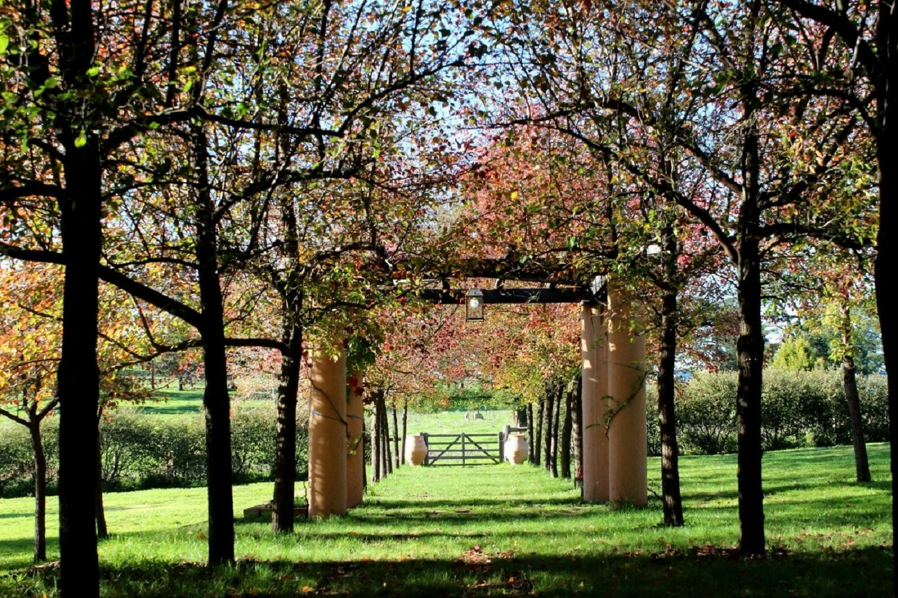 Private gardens of the Monaro