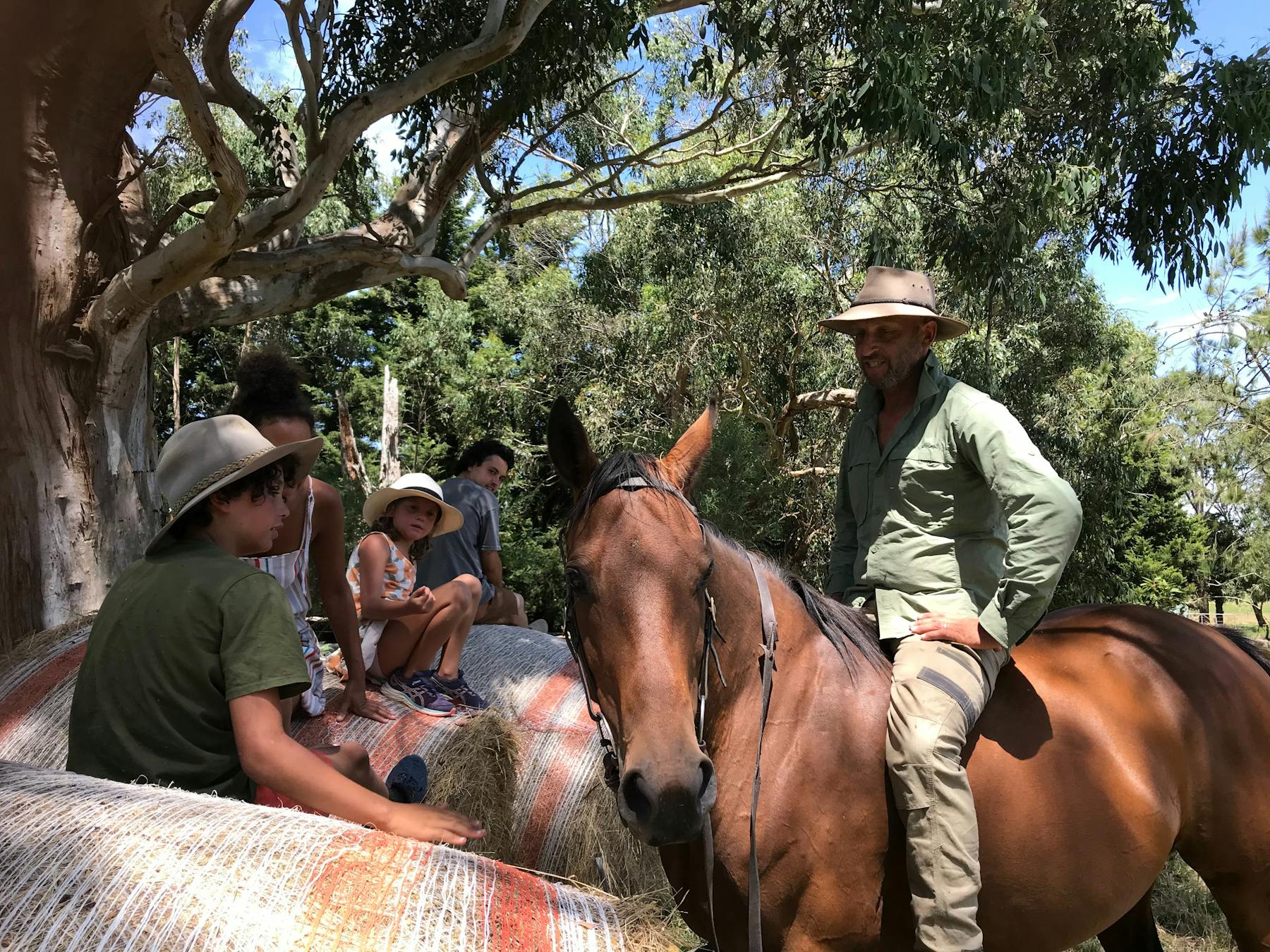 Discussion around horsemanship