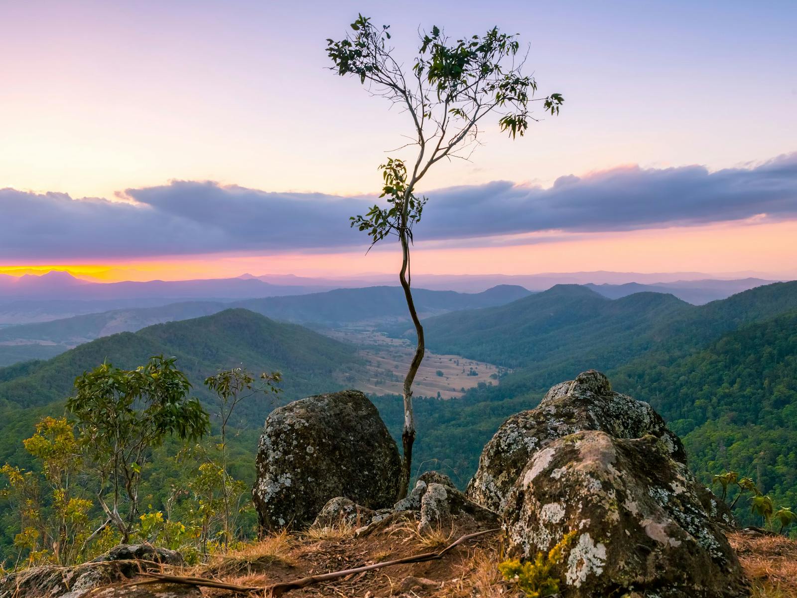Tamborine-Lamington Circuit