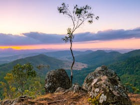Luke's Bluff, Lamington
