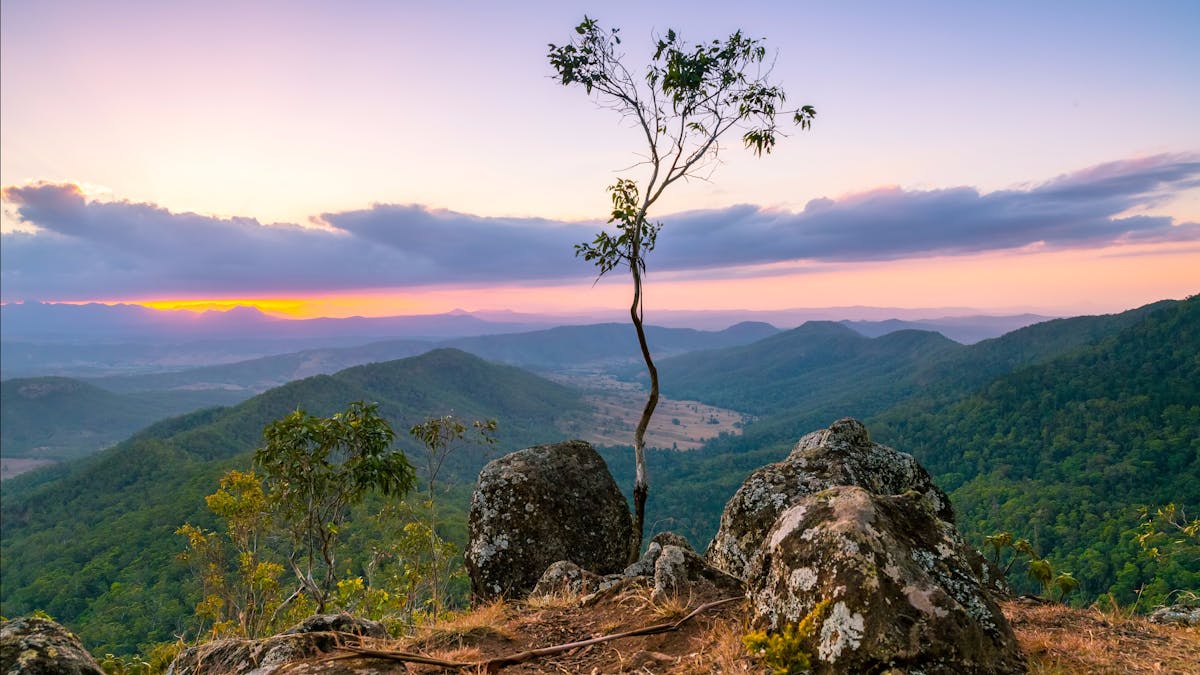 Luke's Bluff, Lamington