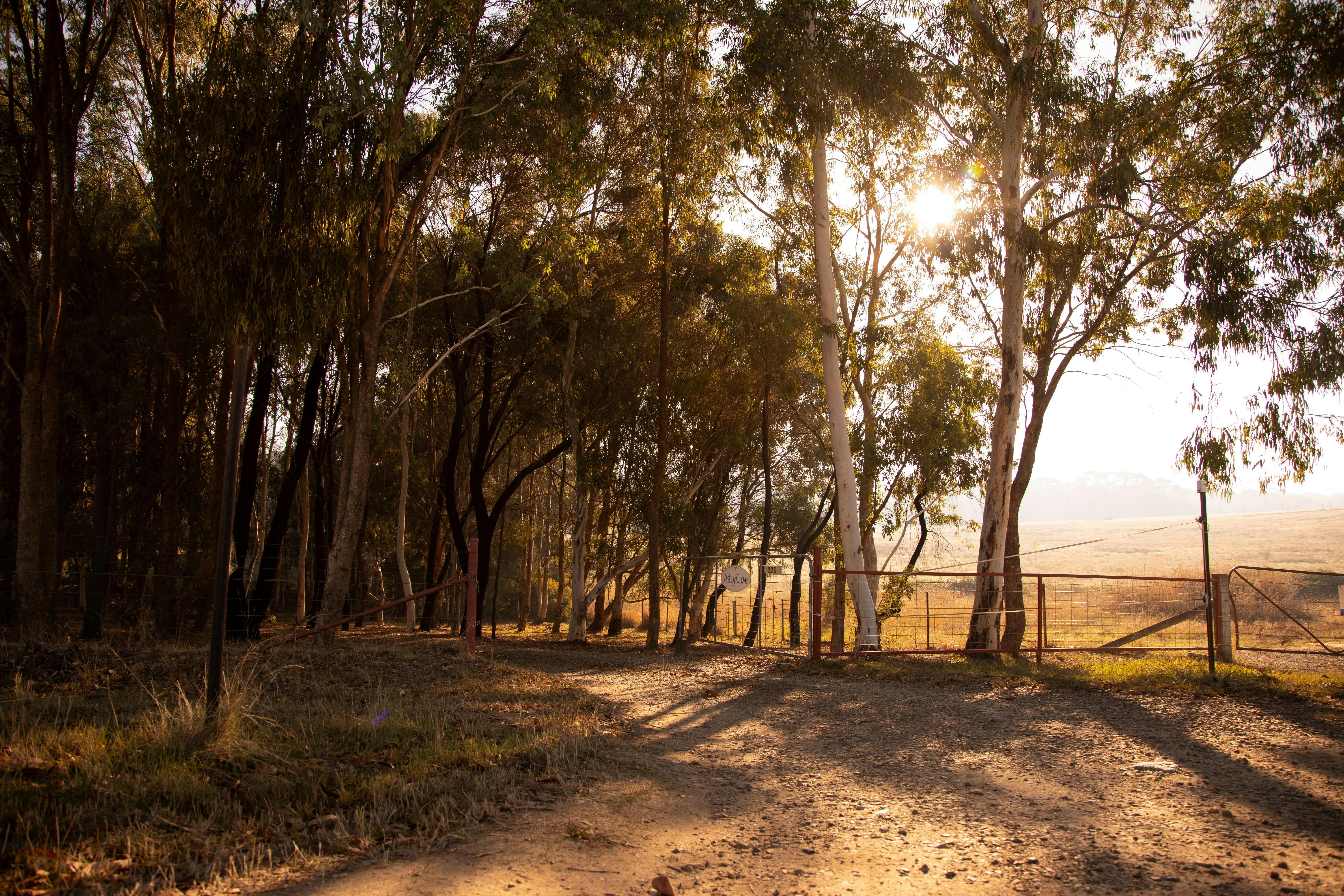 Entry to Ashby Grove home of Wild Sacred Medicine