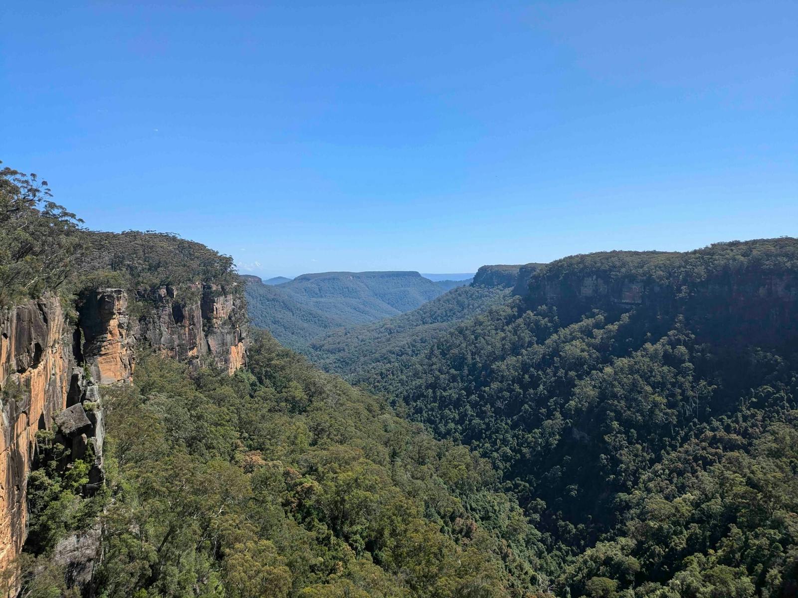 Photo of a forest and valley