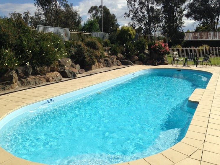 Pool at Tuckerbox Motor Inn