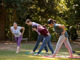 Auslan Yoga  | Tulmur Place Cover Image