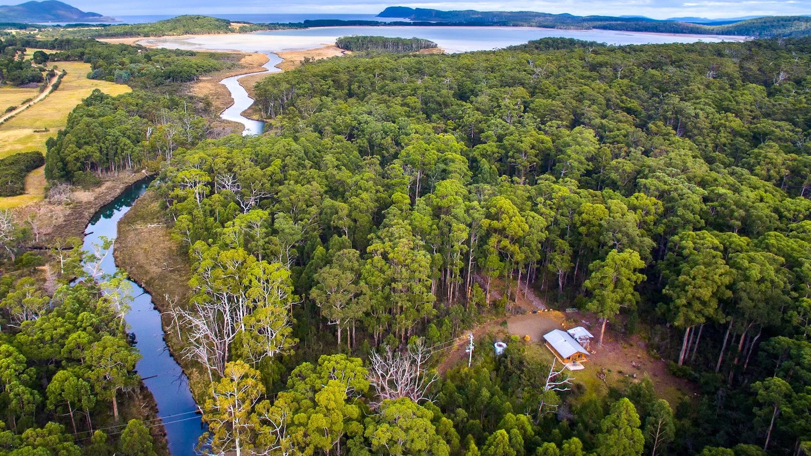 Saintys Creek Cottage: aerial view of Saintys Creek Cottage's forest and creek.