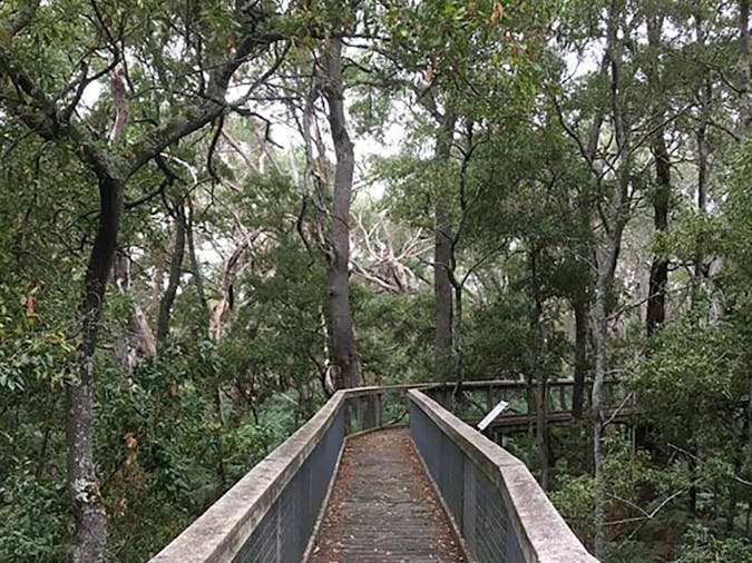 5 day Mount Gambier Caves, Sinkholes, Volcanoes Adventure