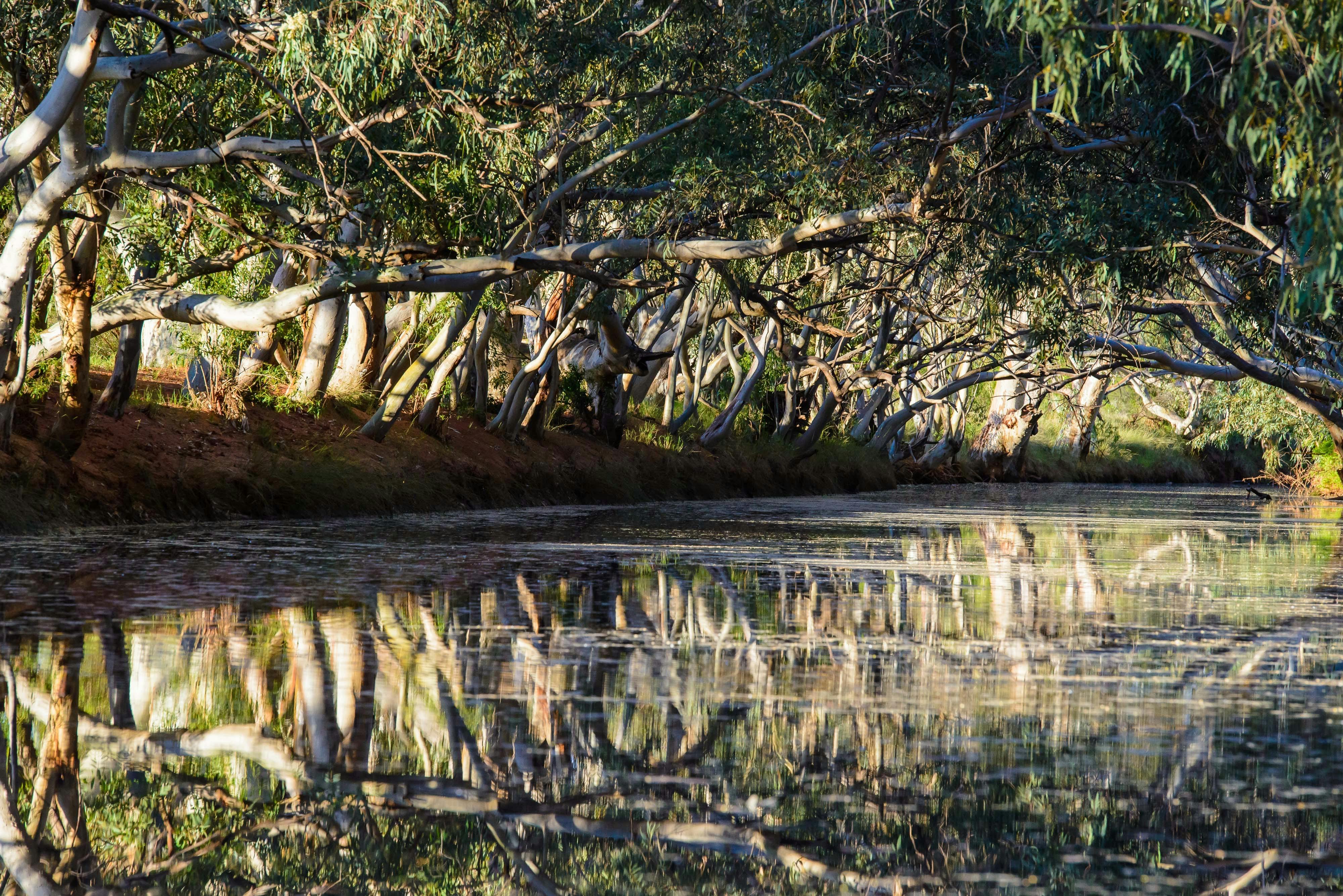 Billabong NSW Corner Channel Country