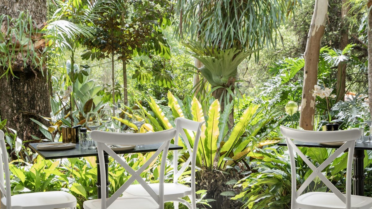 Rainforest Restaurant