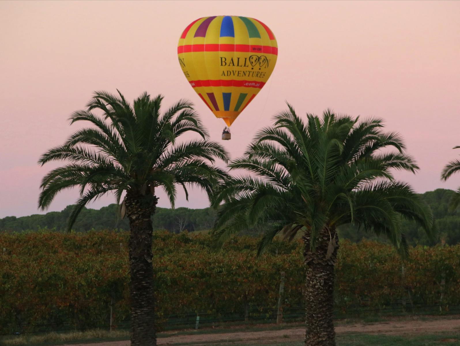 Barossa Balloon Adventures