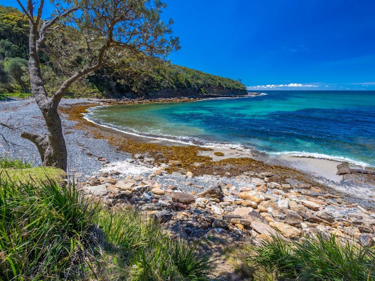 Burns Bay