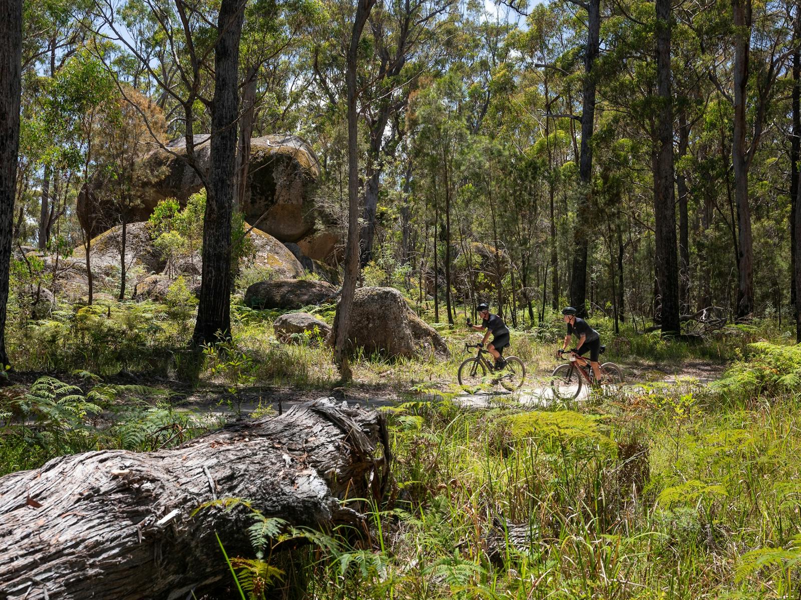 A rider goes past a unique granite formation called Split Rock) on the course.