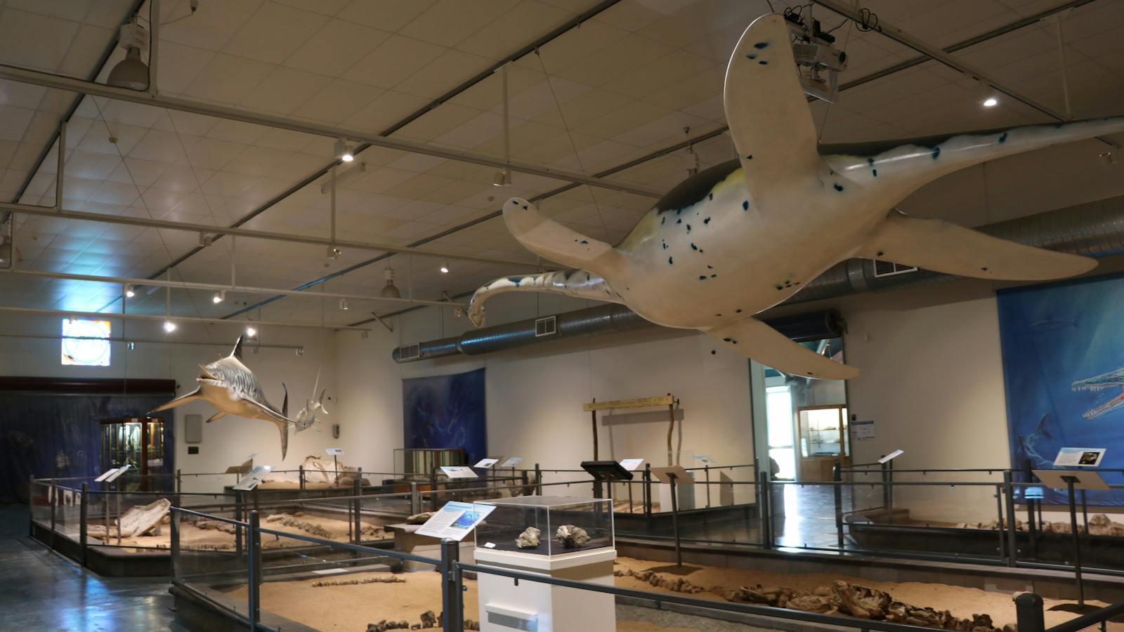 Inside the Kronosaurus Korner Museum