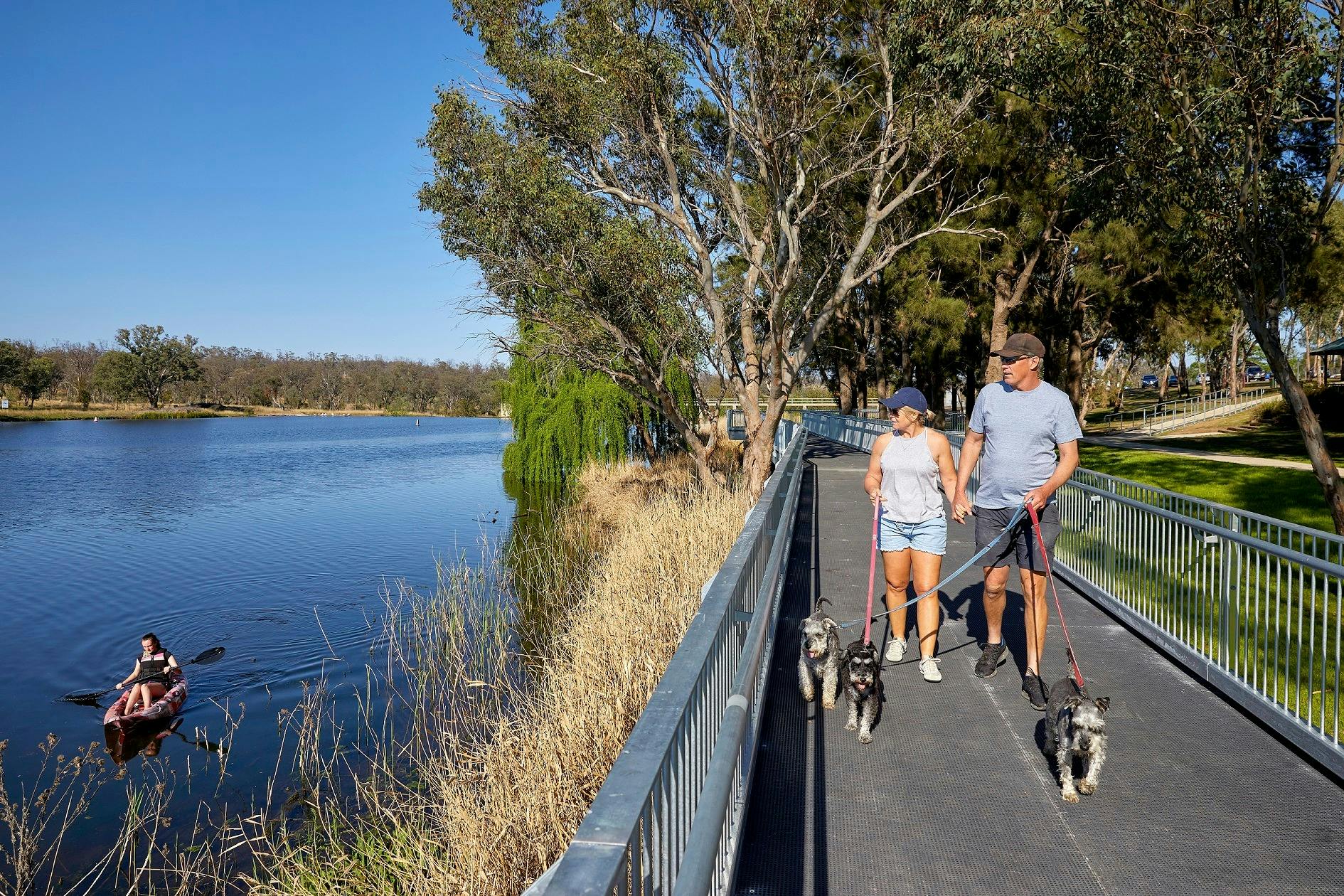 Two people walking dogs on boardwalk on right with kayaker on Lake Inverell on left
