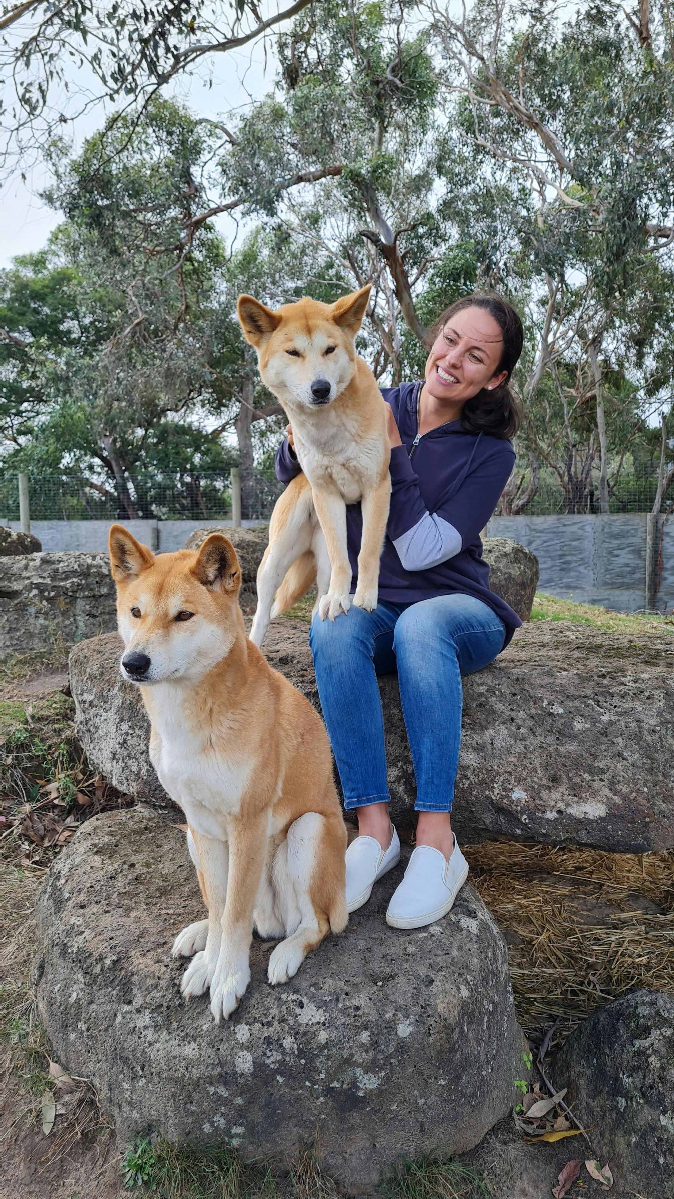 Wildlife Adventure to Phillip Island