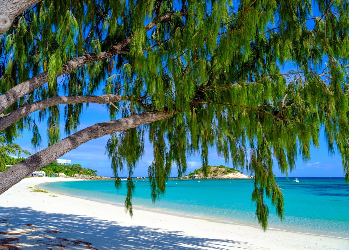 Anchor Bay - Lizard Island