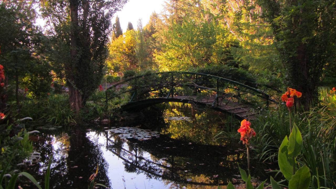 The Witches Garden Monet's bridge