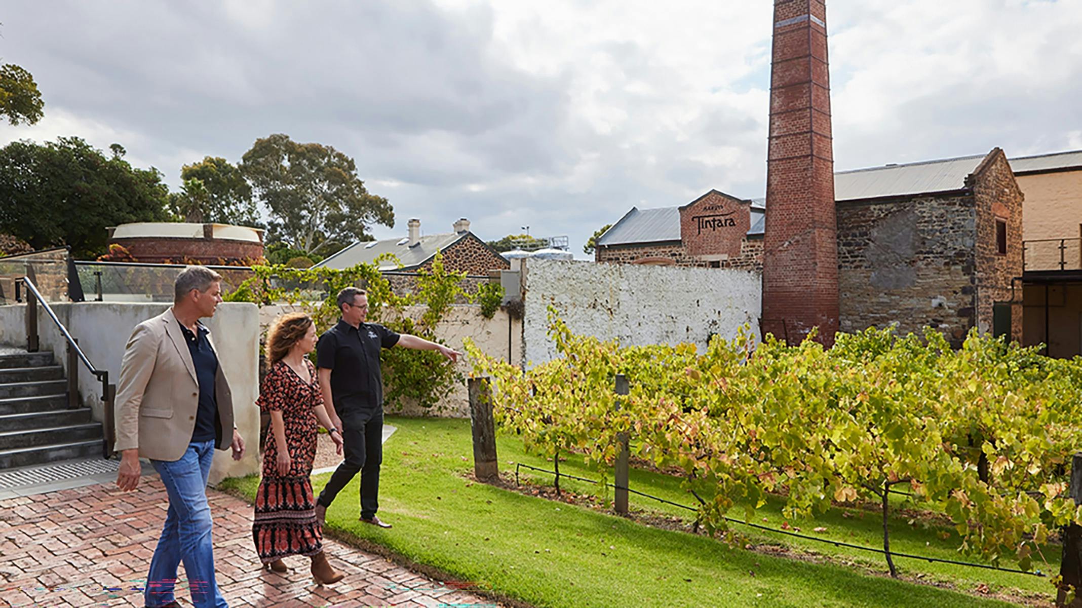 Hardys Tintara Winery