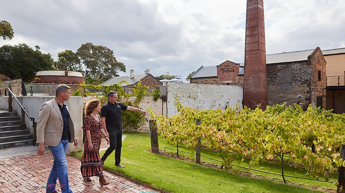 Hardys Wine Experiences McLaren Vale, Tour South Australia