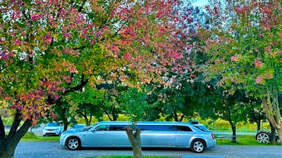 Autumn Wedding