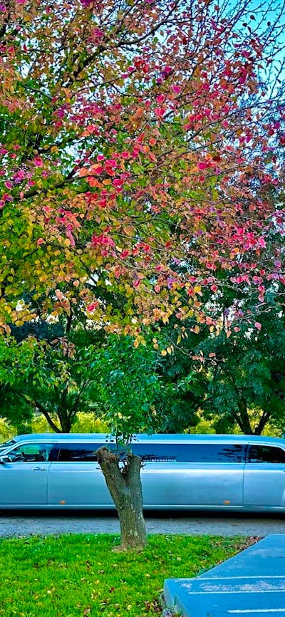 Autumn Wedding
