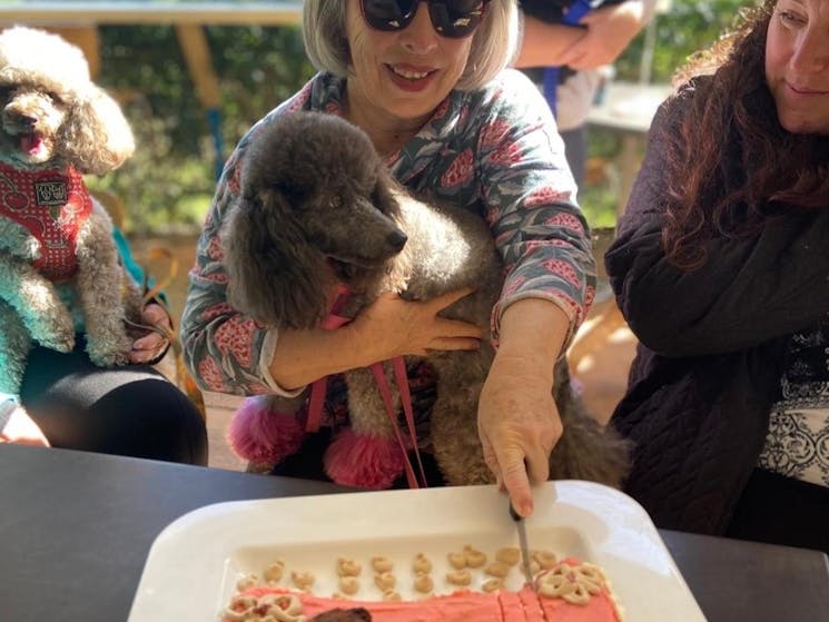 Lady cutting a birthday cake for her dog's 3rd birthday party at Creekside Cafe