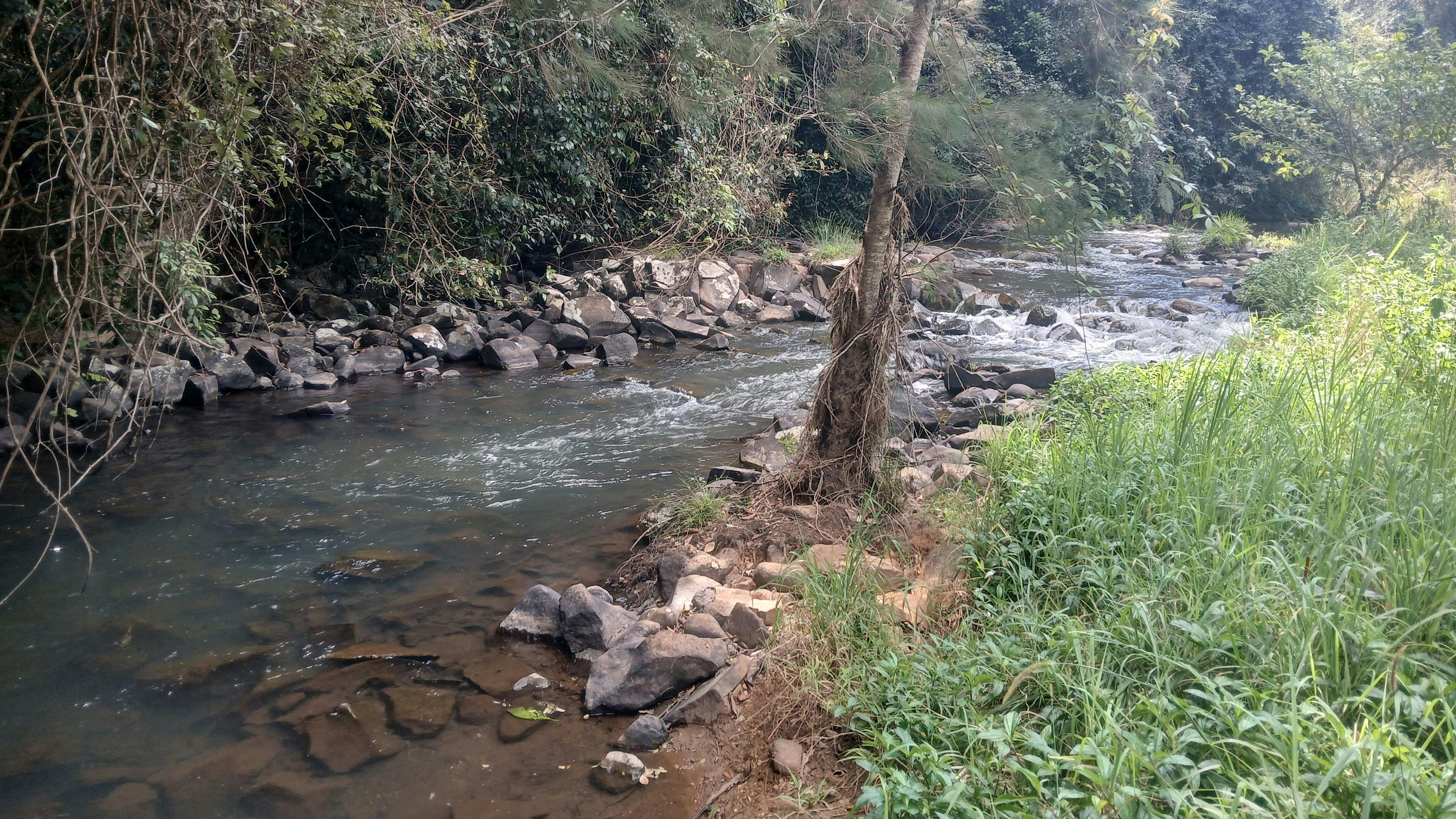 Malanda Stream Private Camping.