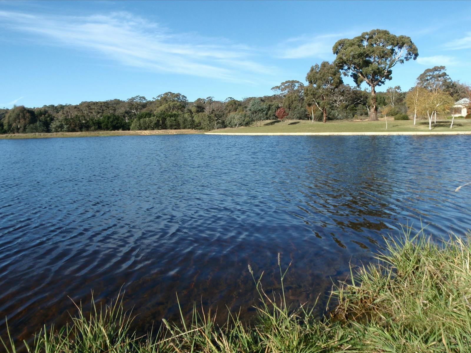 Rainbow Springs Fly Fishing School