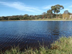 Rainbow Springs Fly Fishing School