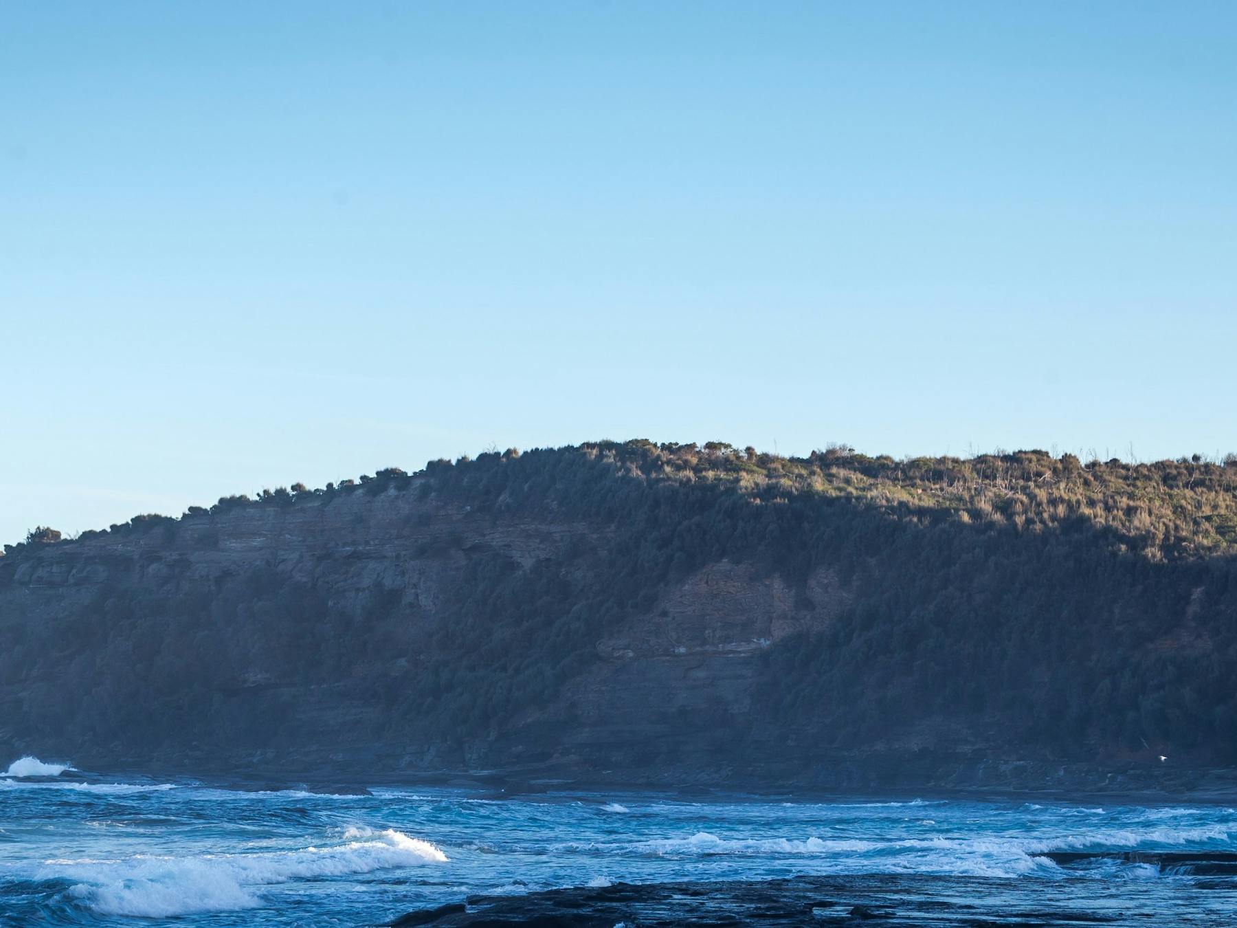 Dolphin Point Surfer