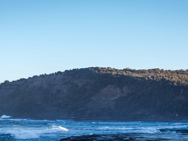 Dolphin Point Surfer