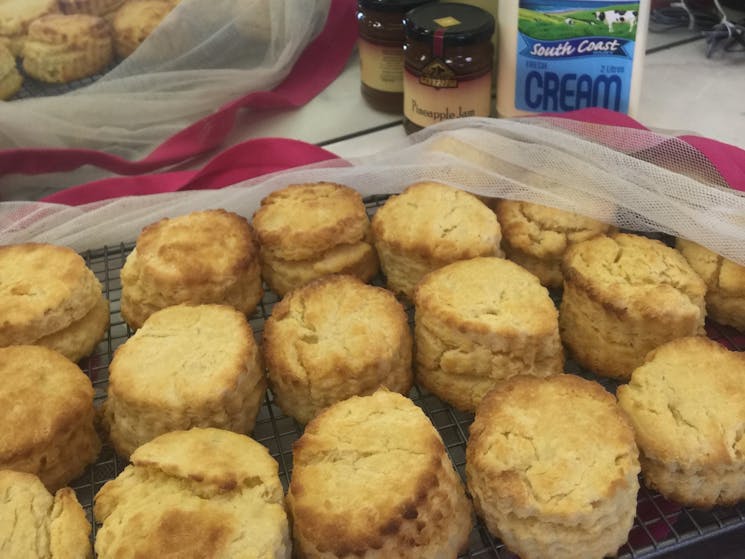 scones jam and cream devonshire tea tour groups