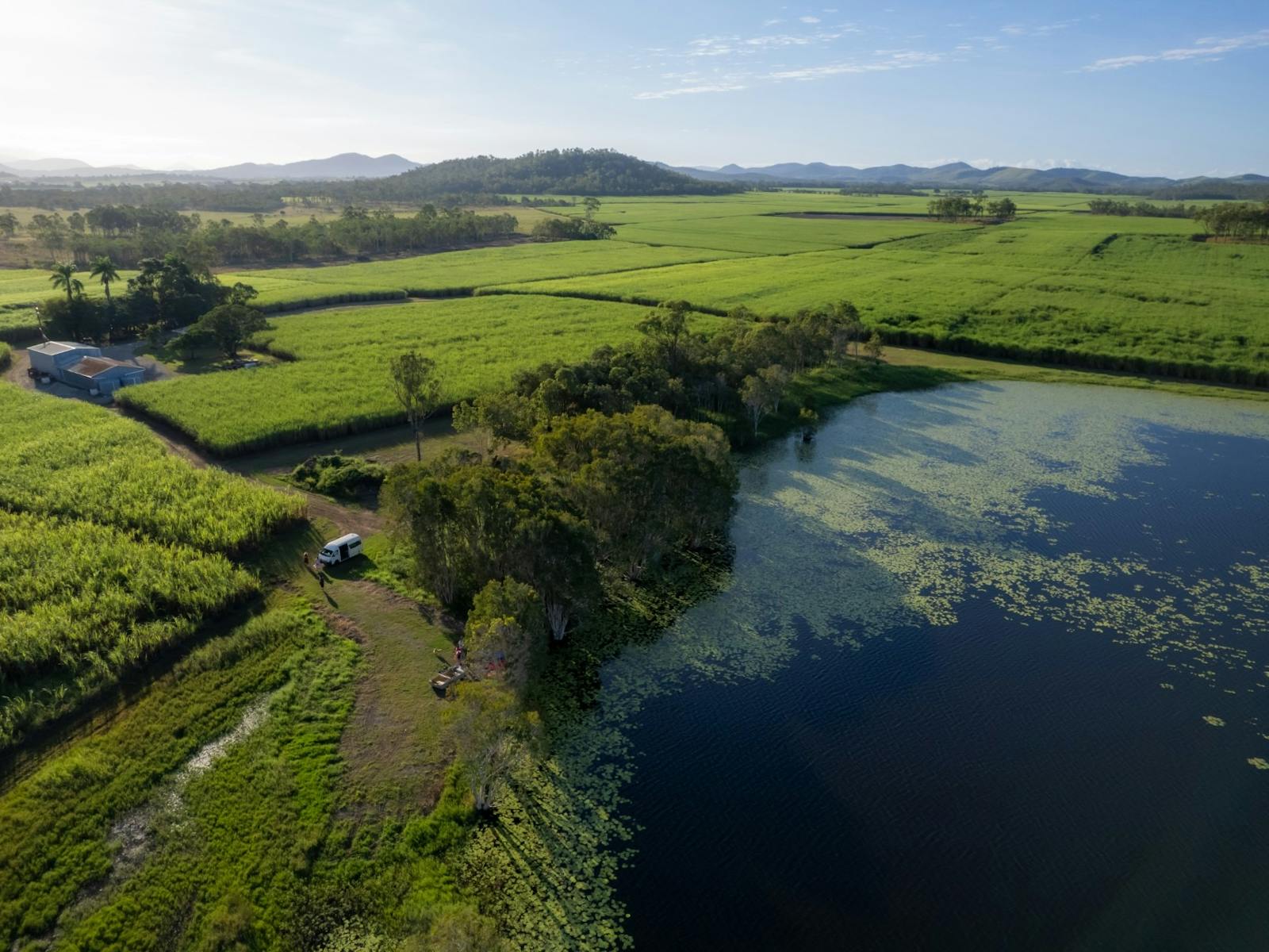 view from the Dam and the sugar cane fields surrounding there is a shed in the sugarcane field view from the Dam and the sugar cane fields surrounding there is a shed in the sugarcane field