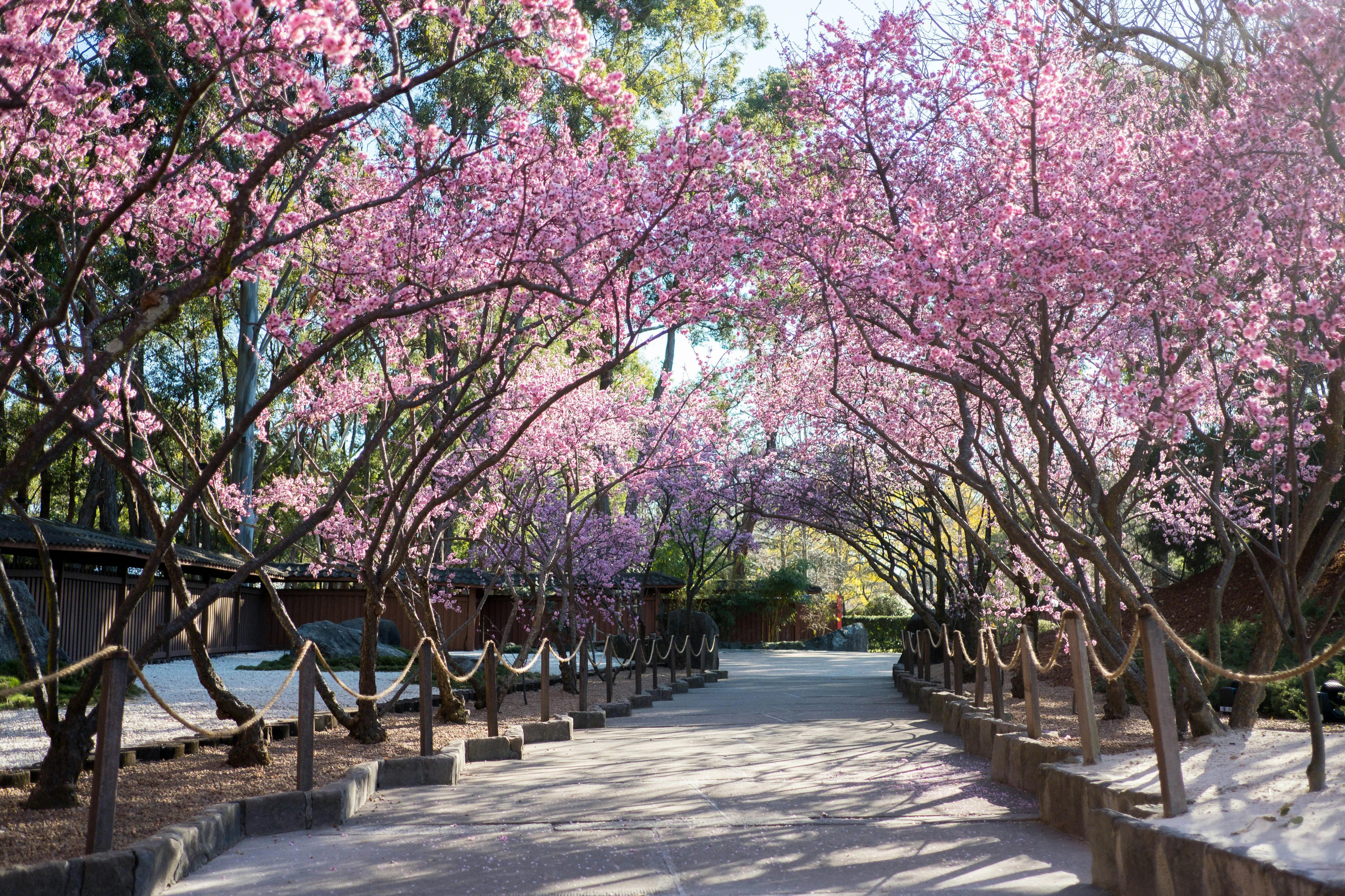Auburn Botanic Gardens