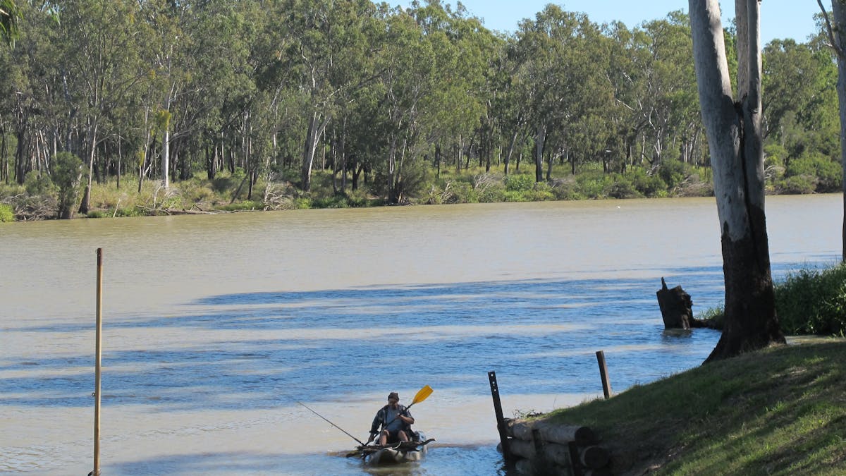Kayaking in the Dawson River, Baralaba