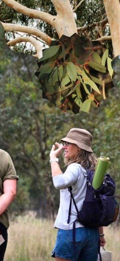 Guide leading nature therapy session