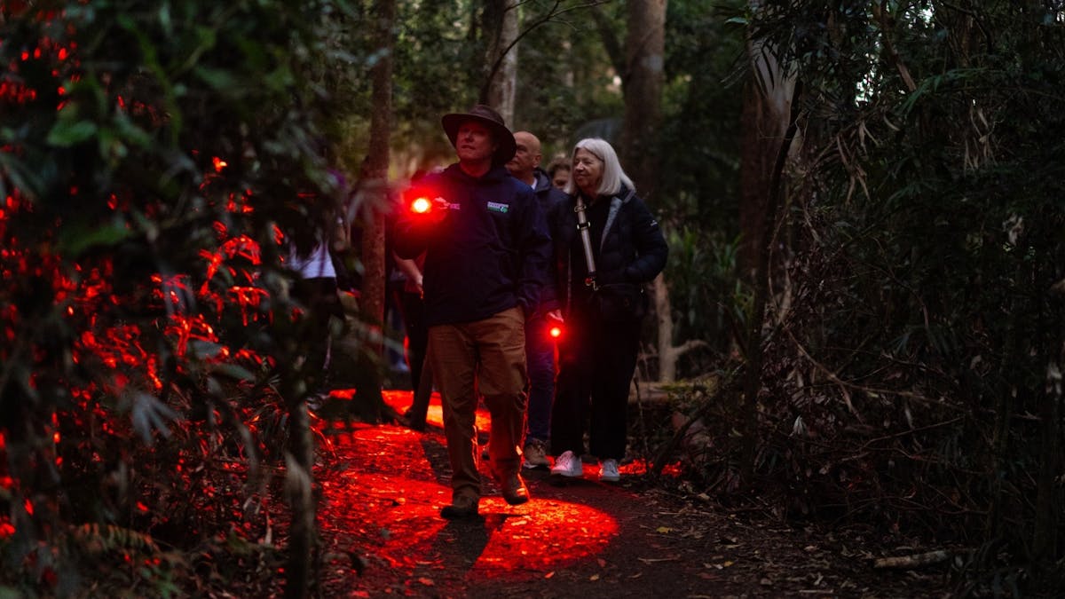 Southern Cross Tour Guide leading group on Glow Worms Tour