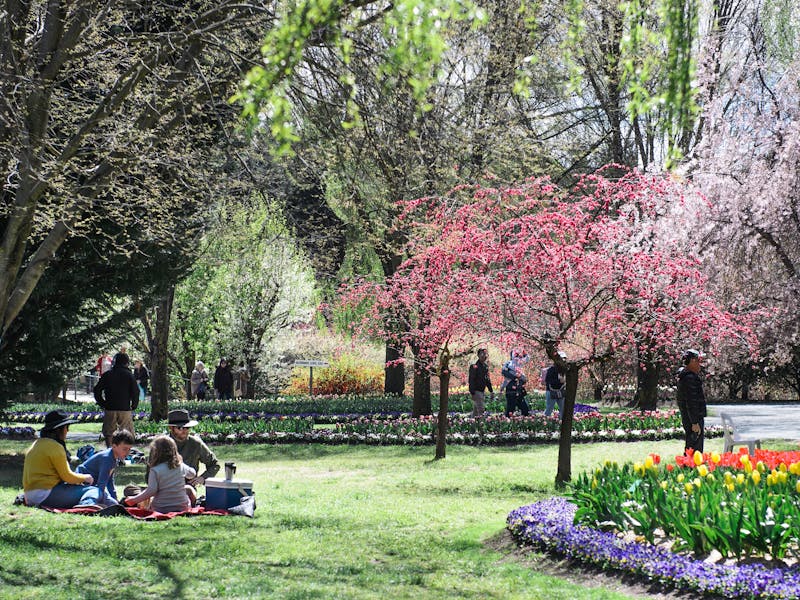 Image for Tulip Top Gardens