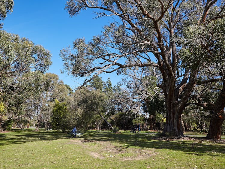 Somers Trail - Cycling (part of the Western Port Bay Trail)