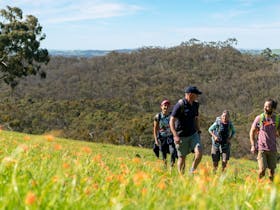 Wander and Wine - Clare Valley
