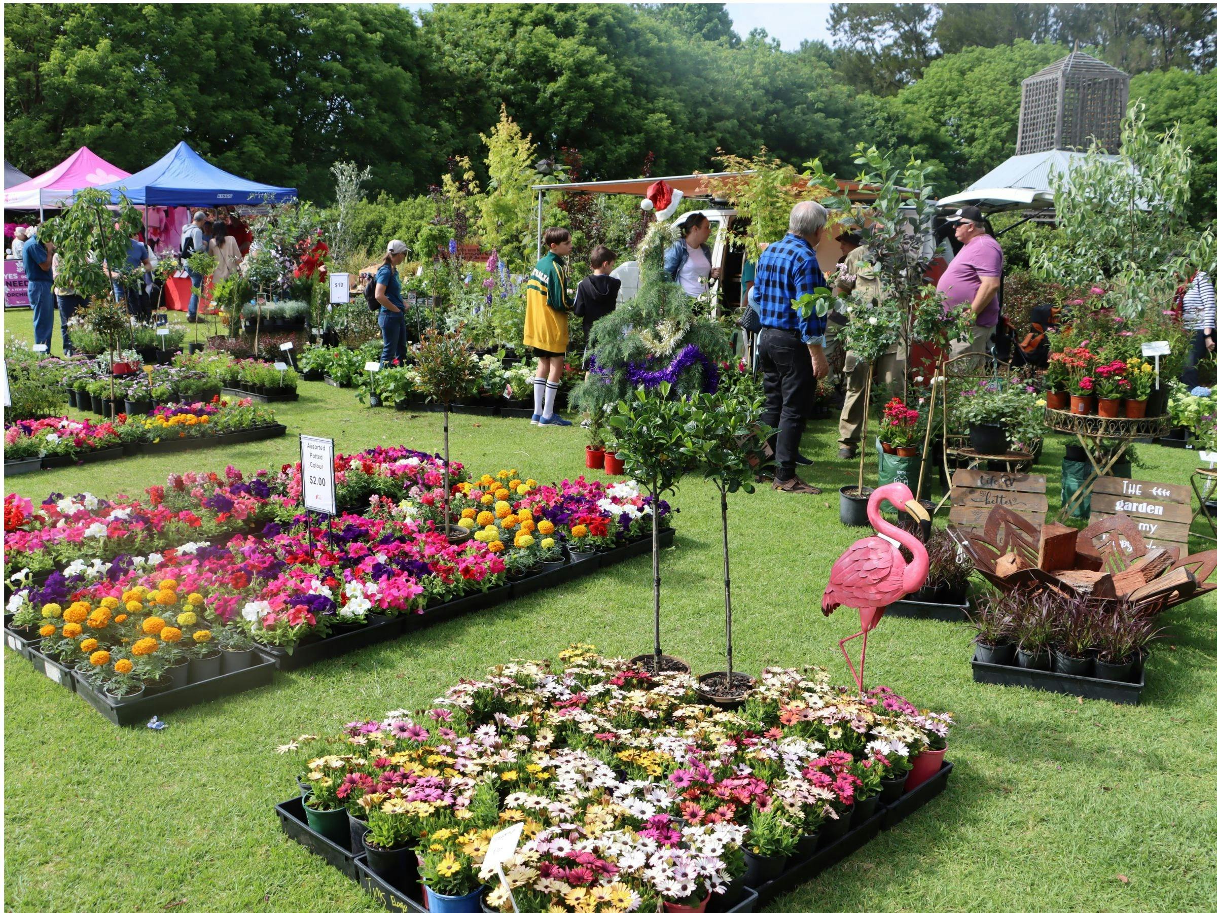 BLOOM Garden Expo & Plant Fair - plant stalls