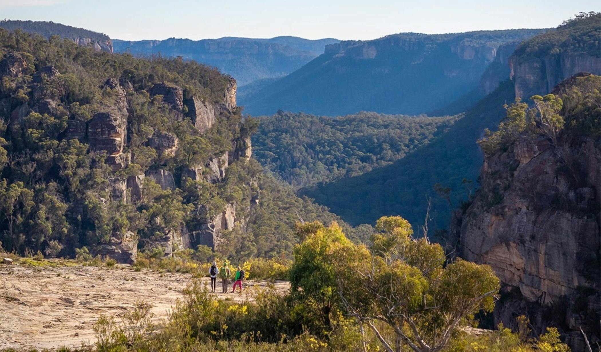 An aerial view of 3 hikers enjoying the view from Carne View lookout along Broad Swamp to Birds Rock