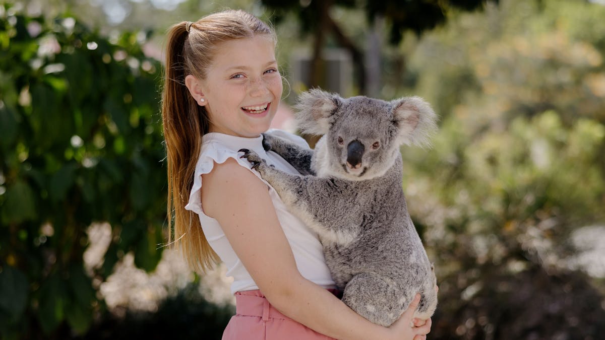 Koala