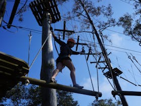 Treetops Adventure Nowra