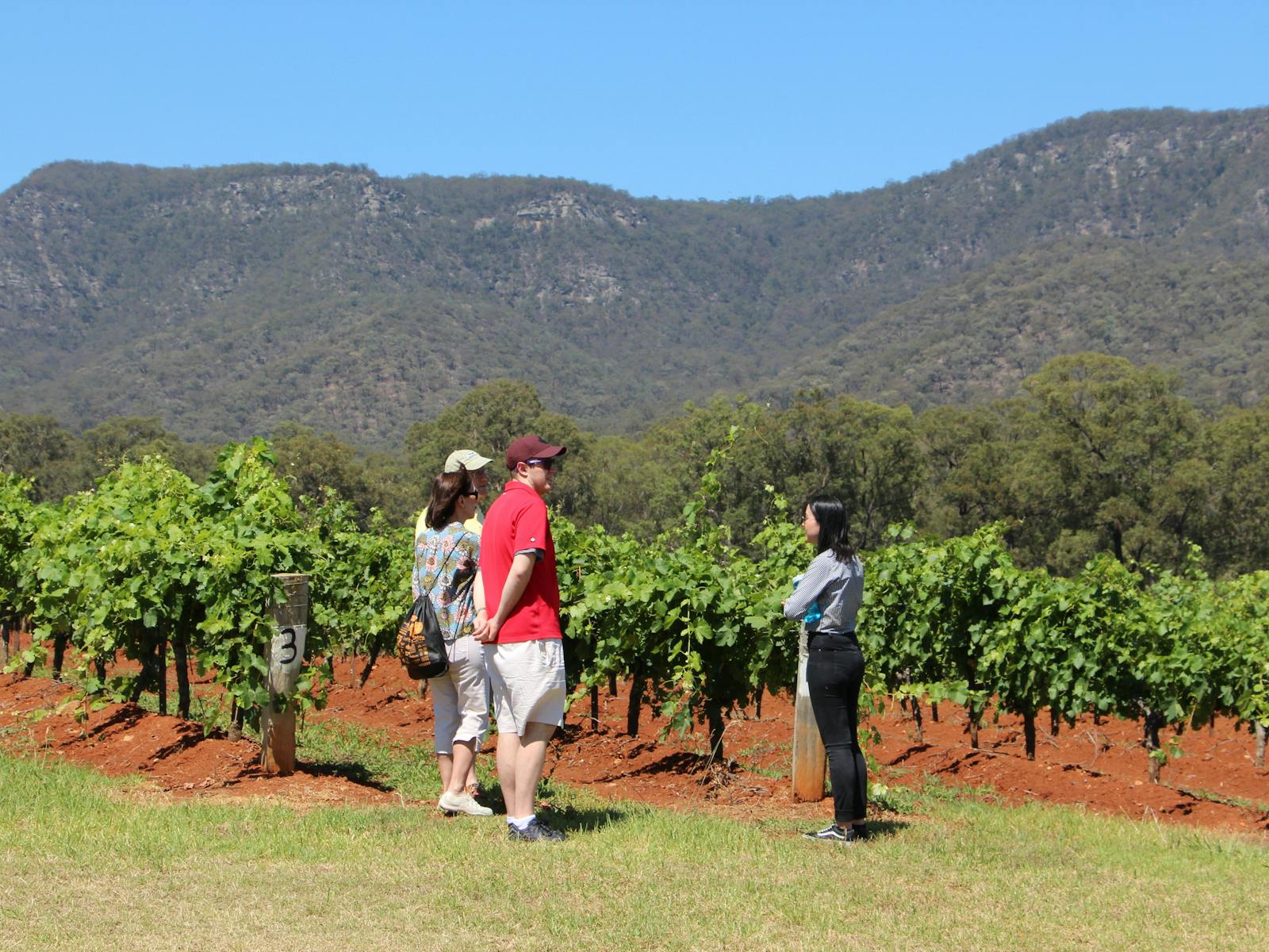 ハンターバレーツアー